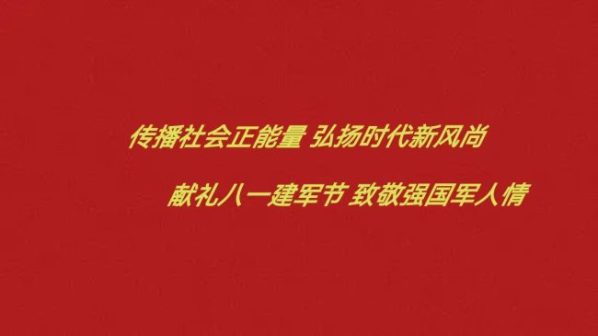 献礼八一建军节 ——网媒名人堂人物  李爱军